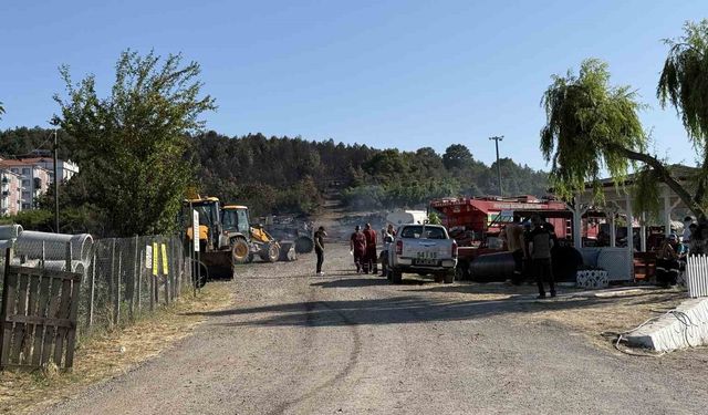 Sakarya’daki orman yangını kontrol altına alındı