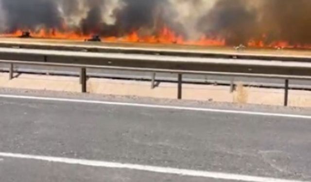 Şanlıurfa’da 100 dönümlük buğday tarlası küle döndü