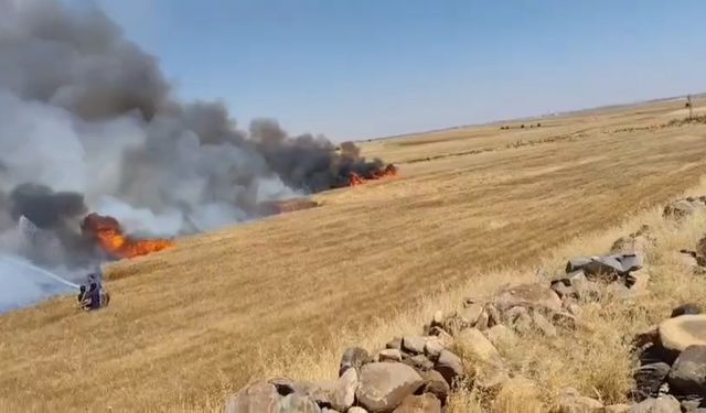 Şanlıurfa’da buğday tarlasında yangın: 1’i ağır 5 yaralı