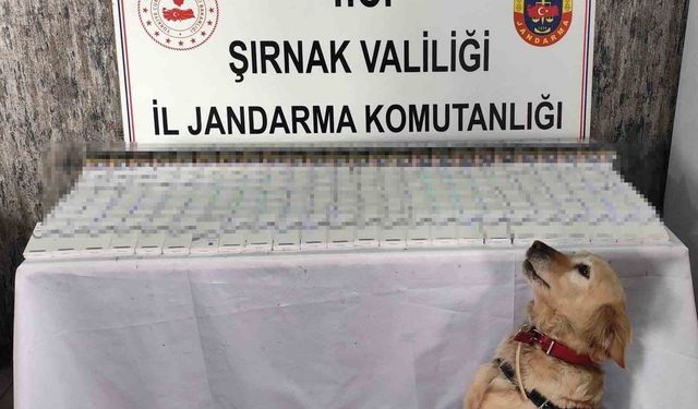 Şırnak’ta 281 bin 500 TL değerinde kaçak malzeme ele geçirildi