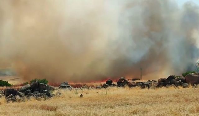 Siverek’te 50 dönümlük buğday ekili arazi yandı