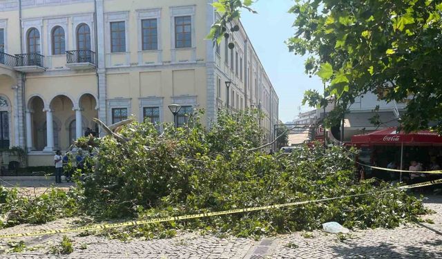 Tarihi Kemeraltı Çarşısı girişindeki dev çınar devrildi