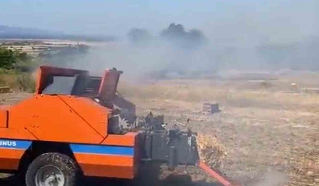 Tarım arazisinde başlayıp ormana sıçrayan yangının çıkış sebebi belirlendi