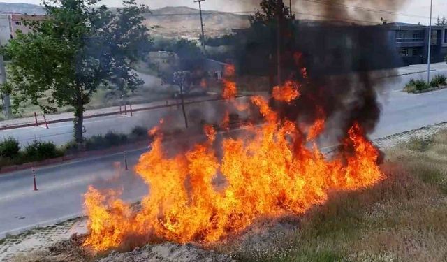 Tatbikatla gösterildi, vatandaşlar uyarıldı: İzmarit büyük yangınlara sebep oluyor