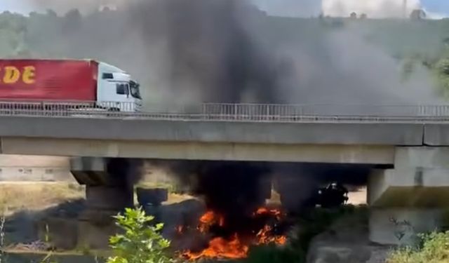 TEM’de korkutan yangın