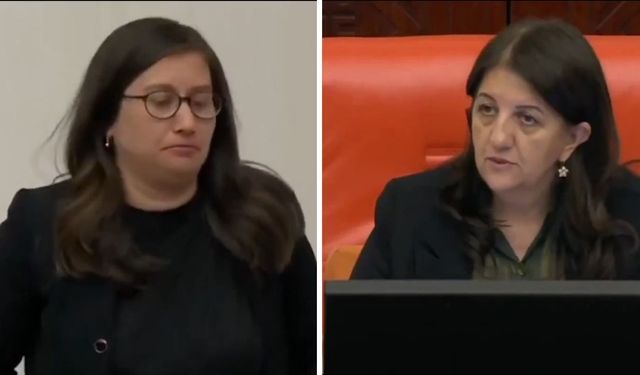 DEM Partili Çubuk’un Kürtçe sözü Meclis’te gerginliğe neden oldu