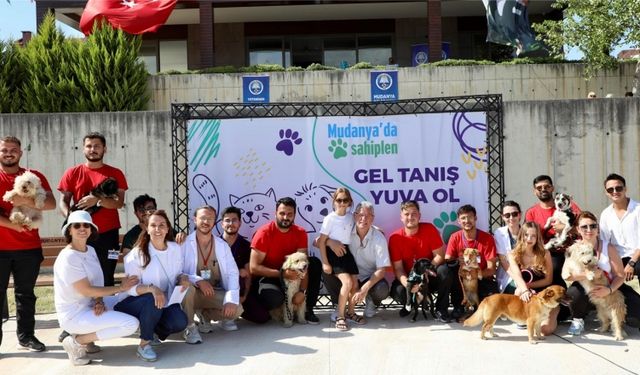 Can dostlar için sahiplendirme şenliği