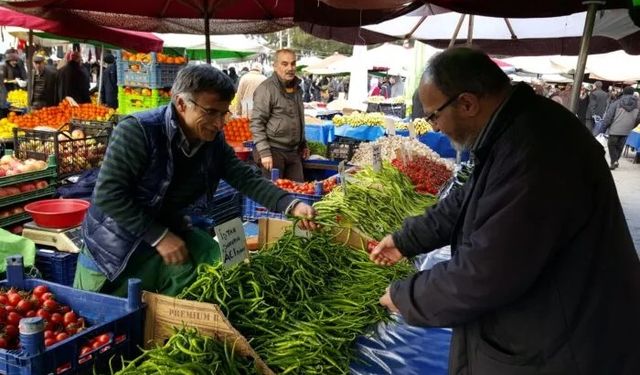 Gelirimiz 5 ayda 198 milyar lira eridi