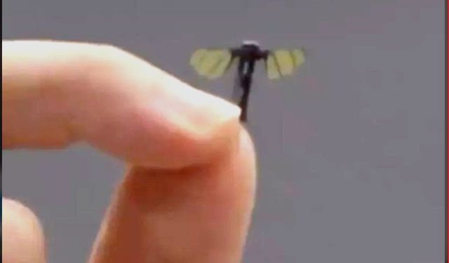 Çin'de sivrisinek boyutunda savaş dronu geliştirildi
