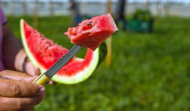 Yaz sıcaklarında serinlik arayanlara: Karpuz seçme rehberi!