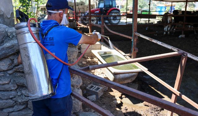 Başkan Yetişkin'le Efeler'de hizmet seferberliği