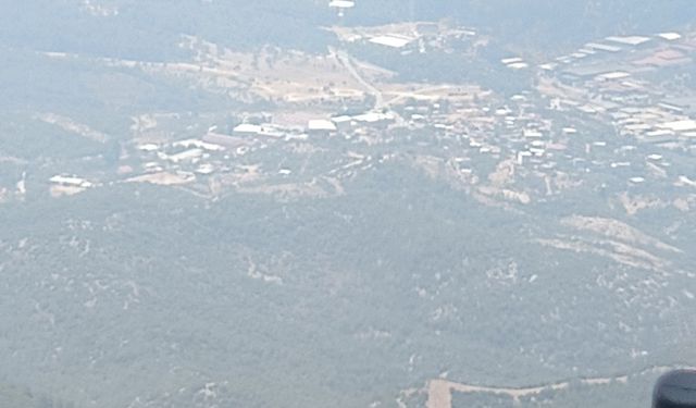 İzmir Buca'dan sonra Bornova'da yangın... Havadan karadan müdahale başladı
