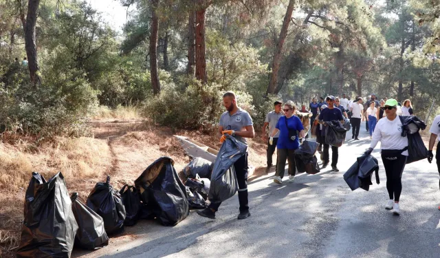 Mudanya'da olası yangınlara karşı temizlik seferberliği