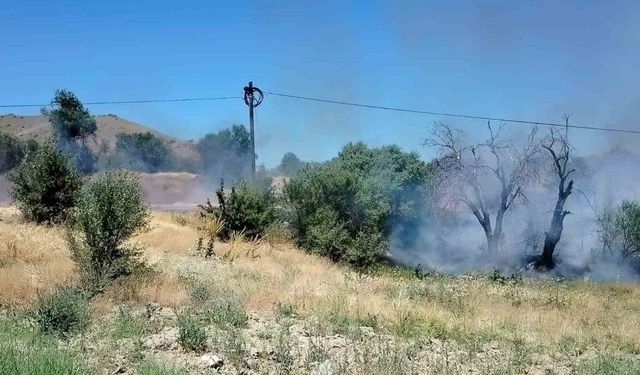 Elazığ’da korkutan yangın: Onlarca dönümlük alan kül oldu