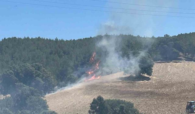 Gediz’de ekiplerin orman yangınıyla mücadelesi sürüyor