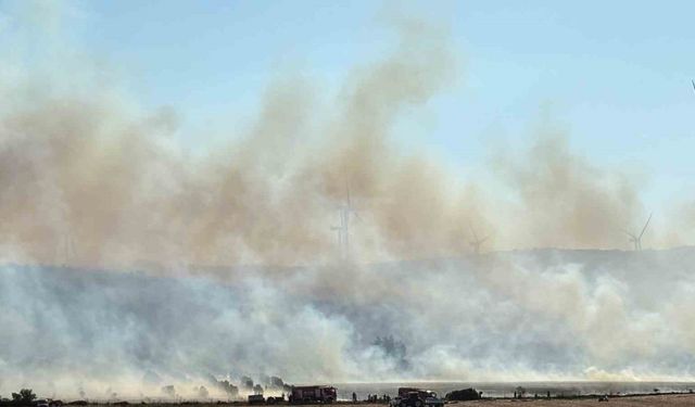 İzmir’de makilik alanda çıkan yangına müdahale devam ediyor