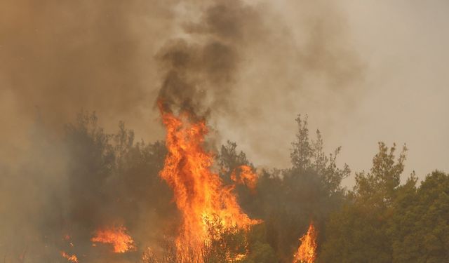 Kula’da orman yangınına müdahale sürüyor