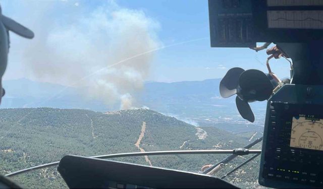 Manisa’da bir orman yangını daha başladı