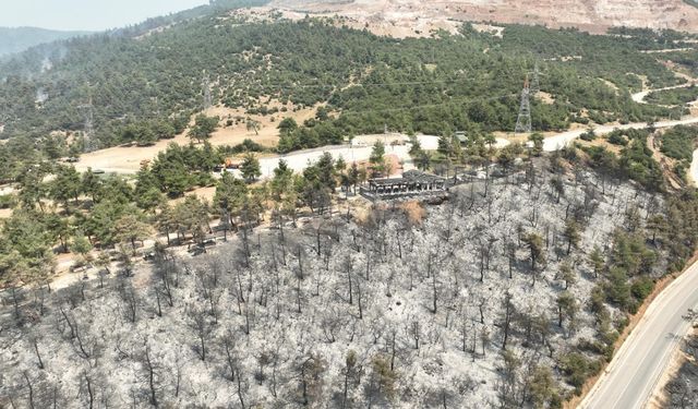 Tarihinin en büyük yangınından yürek burkan bu manzaralar kaldı