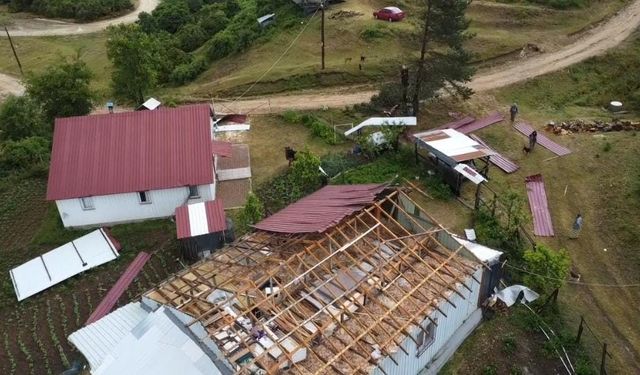Yaylada şiddetli rüzgar ağaçları devirdi, çatıları uçurdu
