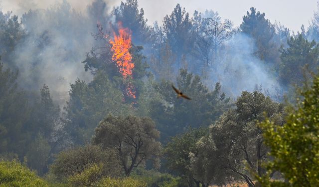 Bornova Belediyesi Gökdere’de 200 personelle seferber oldu
