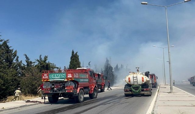 Bu kez Buca'da orman yangını çıktı! Rüzgarın etkisiyle büyüyor