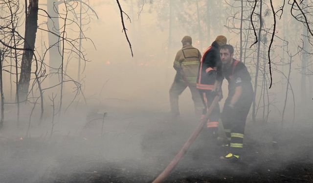 Yenişehir’de orman yangını: Havadan ve karadan müdahale ediliyor