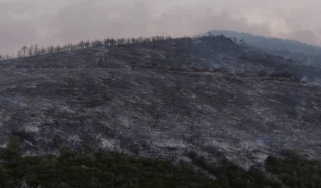 Bursa'nın ciğerleri yanıyor! Acı tablo gün ağarınca ortaya çıktı