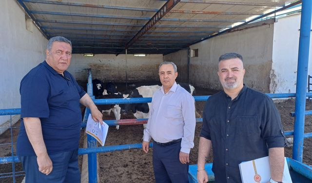Et krizi ithalatla besleniyor! CHP'li Gürer: "Et ve süt sorunu da bu kafayla bitmez"