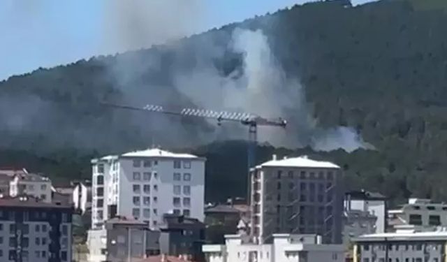 İstanbul'da Aydos Ormanı'nda yangın!
