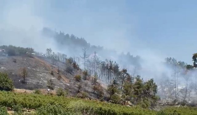 İznik’te orman yangını kontrol altına alındı