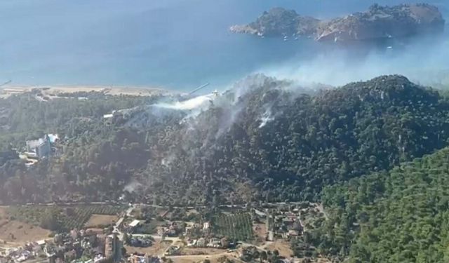 Muğla'da orman yangını!