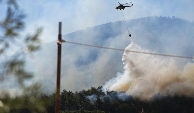 İzmir'deki yangınların sorumlusu kim? Vali Elban "elektrik" dedi, GDZ tam aksini!