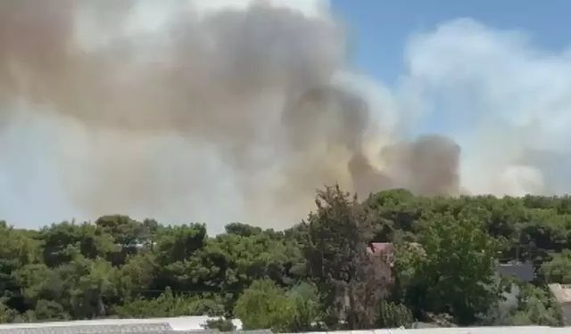 Antalya’da orman yangını! Ekiplerin müdahalesi sürüyor