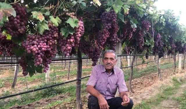 TARİŞ’in açıkladığı üzüm fiyatına tepki