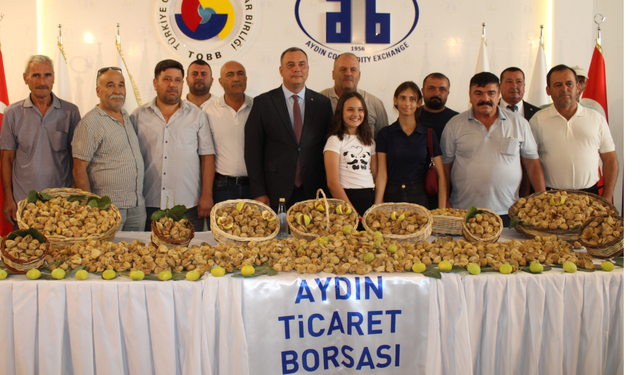 Aydın’da kuru incir sezonu 800 TL’den açıldı