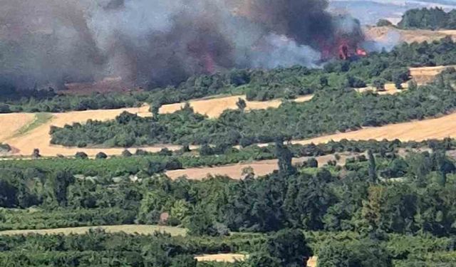 Çanakkale’de tarım arazisinde başlayan yangın ormanlık alana sıçradı