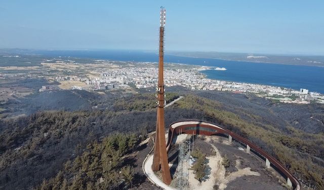 Çanakkale’deki yangından acı tablo kaldı
