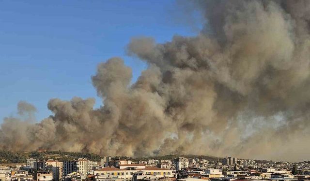 İzmir Buca’da orman yangını büyüyor