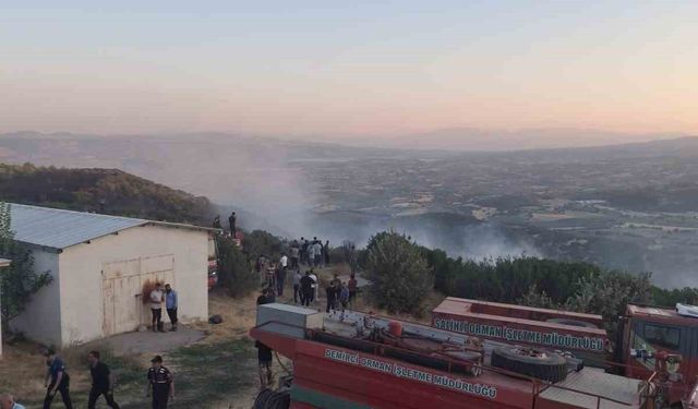 Manisa’da orman yangını