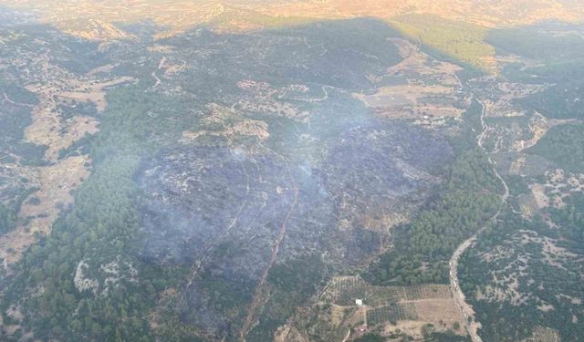 Muğla’daki orman yangını kontrol altına alındı