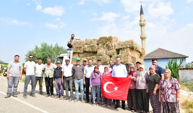 Alaşehir'de  yonca dağıtımı