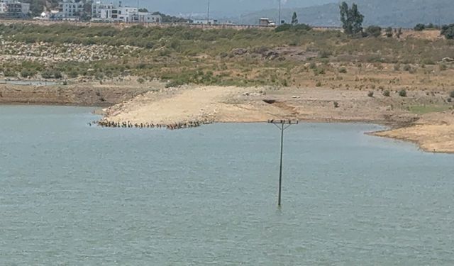 İzmir barajlarında tablo endişe verici: Tahtalı’da sınırlı yükseliş
