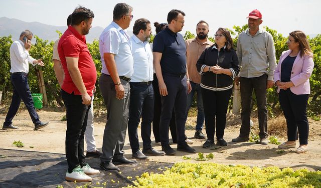 CHP’li Arpacı: TARİŞ algı yapıyor, üretici de tüketici de mutsuz