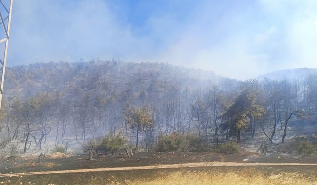 Soma yangınında bir mahalle boşaltıldı, bir kişi de gözaltına alındı