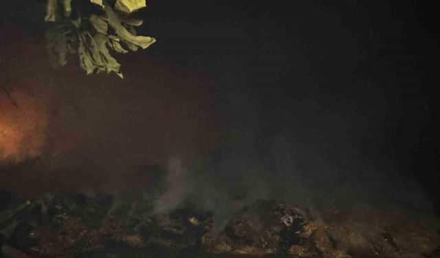Alevlerin arasında kalan mahalle boşaltılıyor