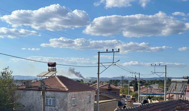 Çanakkale’de orman yangını çıktı