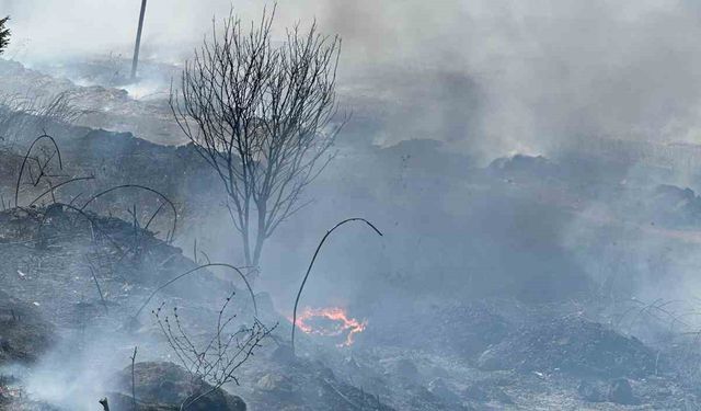 Manyas Kuş Cenneti yakınında yangın paniği