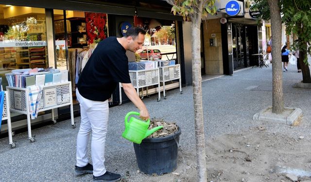 Bornova sakura ve tarçın kokacak