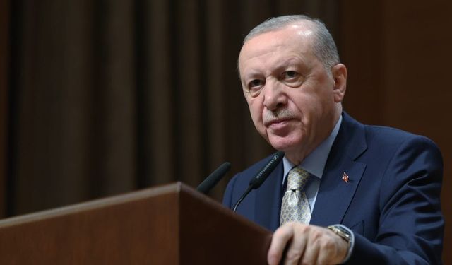 Erdoğan'dan 'nadir toprak elementleri' açıklaması